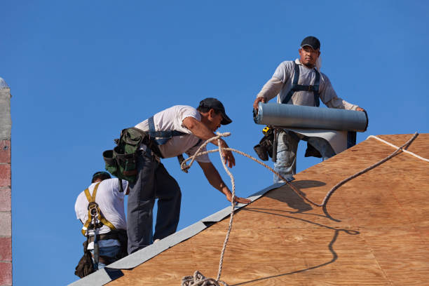 Best Storm Damage Roof Repair  in Sanborn, NY